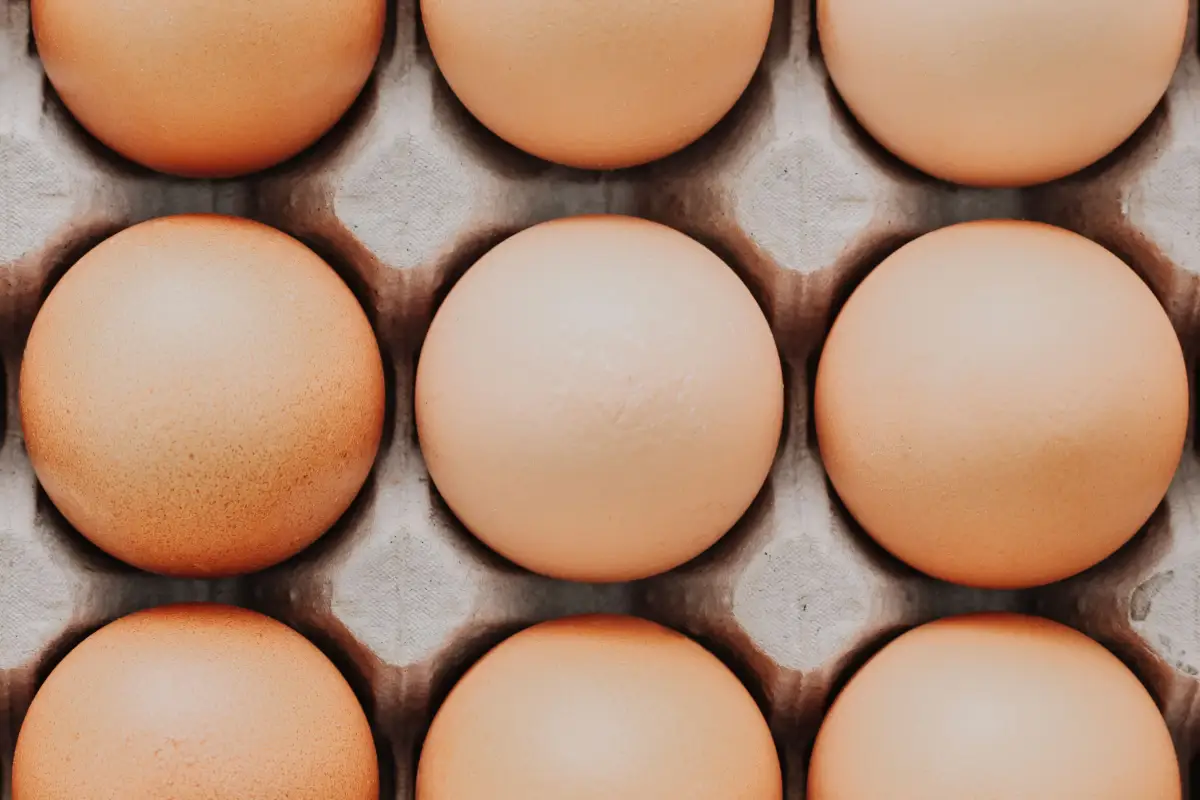 Brown Eggs Aren't Healthier: The Real Science Behind Shell Color