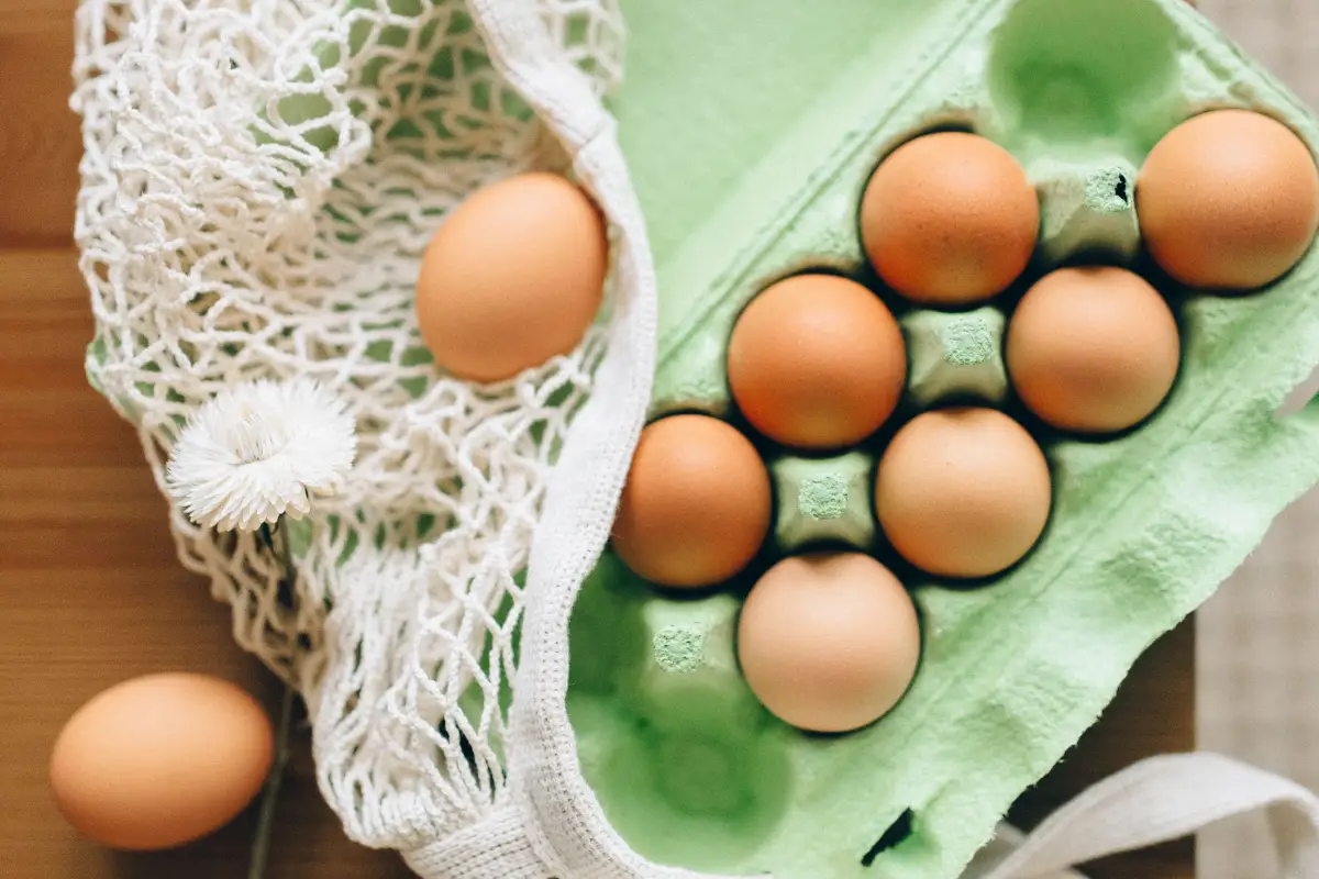 The 4 Numbers on a Feed Bag That Predict Egg Quality