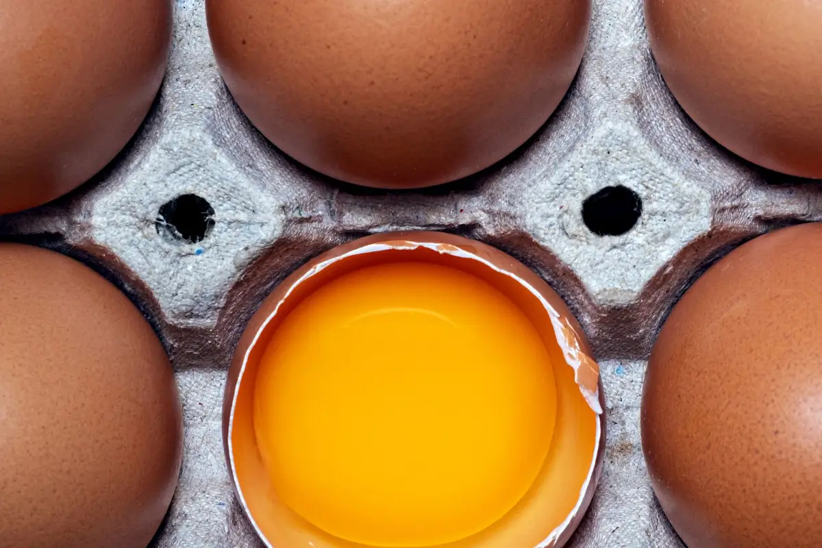 The Hidden Diet Gaps That Slowly Ruin Egg Quality