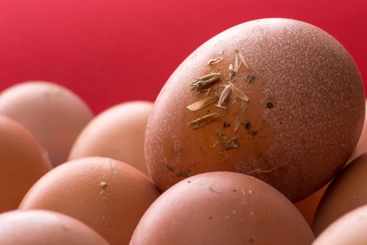 Why Not Washing Your Eggs Actually Keeps Them Fresh Longer
