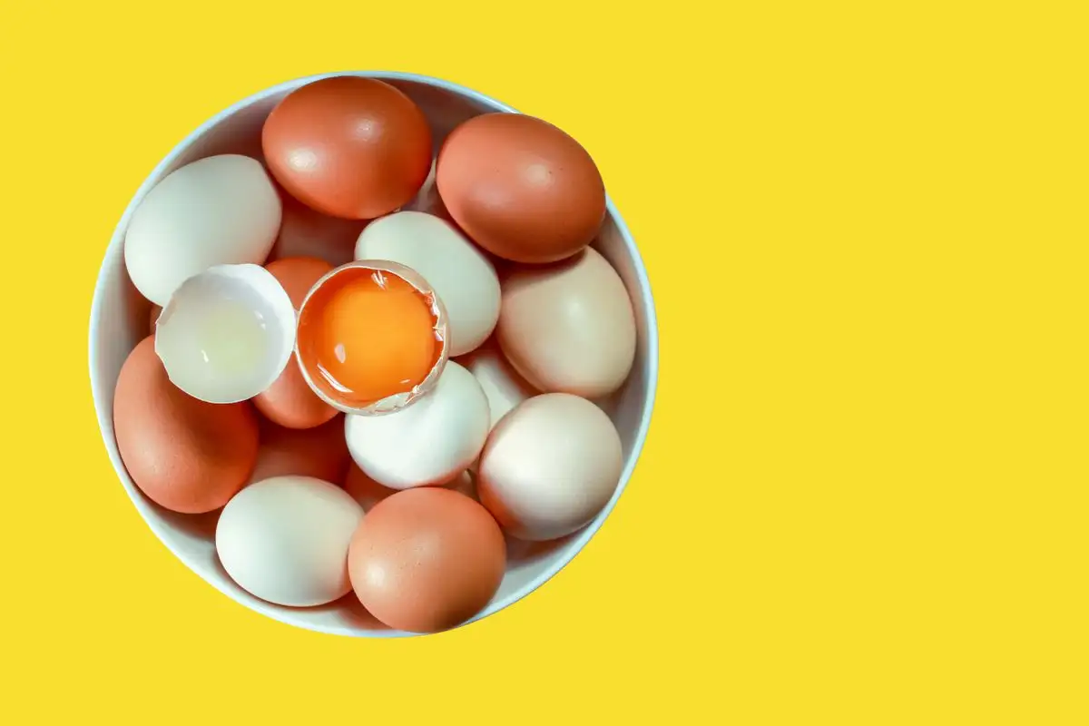 Think Yolk Color and Shell Color Are Linked? Here's Why They're Not